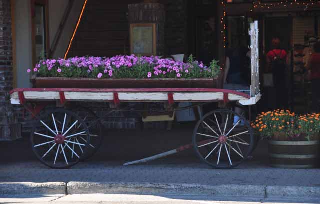 Truckee flower cart